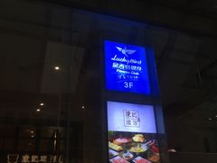-金吉鸟健身游泳