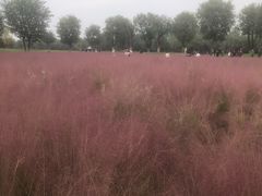 -汉长安城未央宫国家考古遗址公园