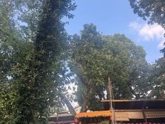 -兴福老面馆(寺路街店)