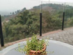 -远山有窑