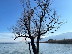 -大理洱海