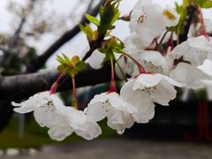 -上海山野camping·户外天幕烧烤·团建拓展营地