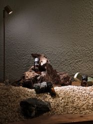 -依莲SPA