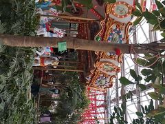 -南宫五洲植物乐园