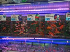 -大润发(番禺店)