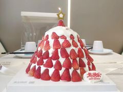 -维尔纳斯·生日蛋糕·动物奶油冰淇淋蛋糕(六里桥店)