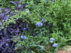 -小洞天柴火土菜馆