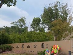 -羊山湖公园
