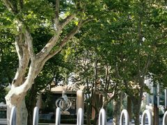 -山东省青岛第二中学(江西路分校)