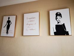 -演员的秘密·皮肤管理