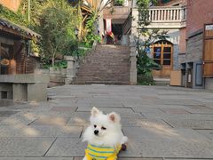 -重庆十八梯传统风貌区