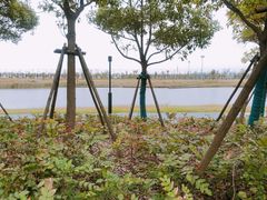 -春花秋色城市公园