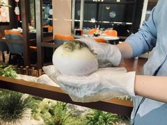 -肆月河豚·淮扬菜·湘菜(华天店)