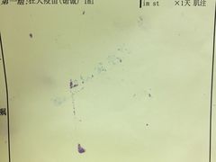 -上海交通大学医学院苏州九龙医院
