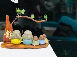 -斐尔国际皮肤管理中心