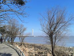 -上海吴淞炮台湾国家湿地公园