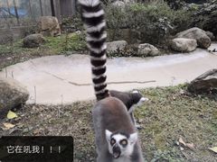-成都动物园