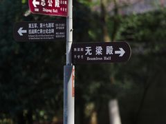 -灵谷景区