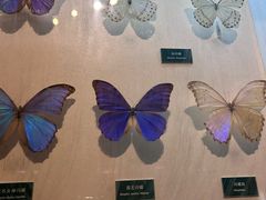 -陕西自然博物馆