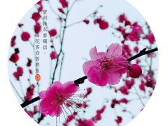 -三游洞