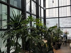 -大树餐厅(红旗街万达店)