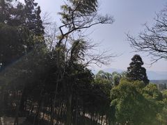 -莫干山风景区