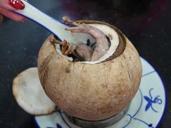 原只椰子炖鹌鹑-達揚原味燉品(文明路店)