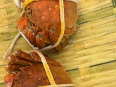 -蟹天蟹地农家菜·阳澄湖大闸蟹(浅水湾店)