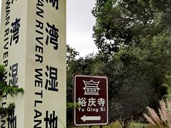 -贡湖湾湿地公园