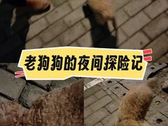 -上海市曹杨职业技术学校