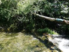 -源泉冷水鱼庄(小鱼洞店)