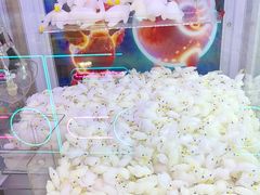 -汤姆熊欢乐世界(滨江店)