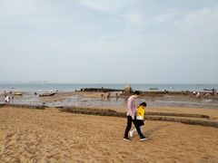 -巨鹏飞梦幻海岸
