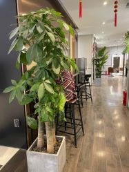 -崇尚GAVIN STYLE臻选