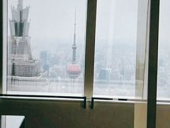 -上海柏悦酒店