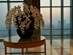 -视界美食自助餐厅·石家庄希尔顿酒店