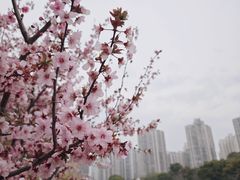 -苏州河梦清园环保主题公园