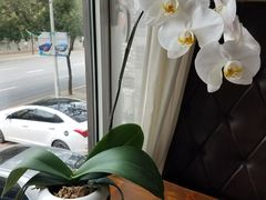 -浦江餐饮·上海菜馆(五四路店)