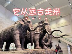 -大庆市博物馆