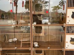 -台山新孖宝柴火黄鳝饭(三合温泉店)