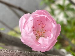 -蓝宝石大厦(天目中路)