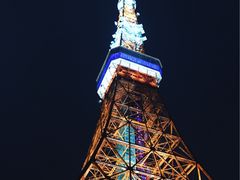 -东京塔海贼王主题公园