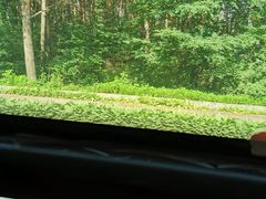-美人松苑