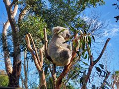 -费瑟代尔野生动物园