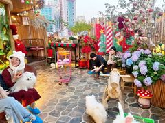 -逗柴町空中花园·雪橇三傻·柴犬柯基狗咖·猫咖·爬宠