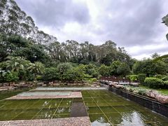 -南宁荔园维景国际酒店·荔园中餐厅