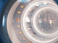 -中国湿地博物馆