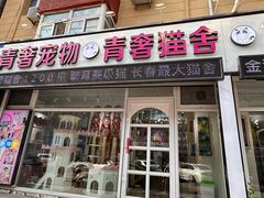 -青奢宠物·青奢猫舍