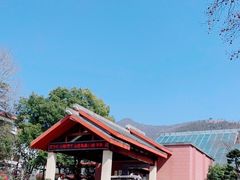 -深业半汤御泉庄温泉