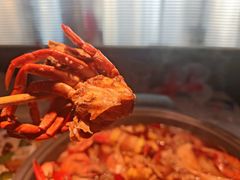 -徐记小怪兽肉蟹煲(中央大街店)